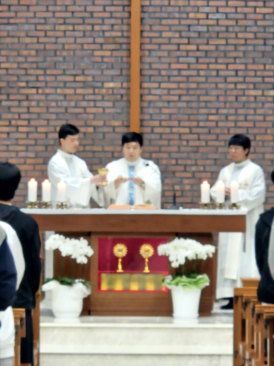 장승포 성당 리멤버_사진_20250526_5.jpg